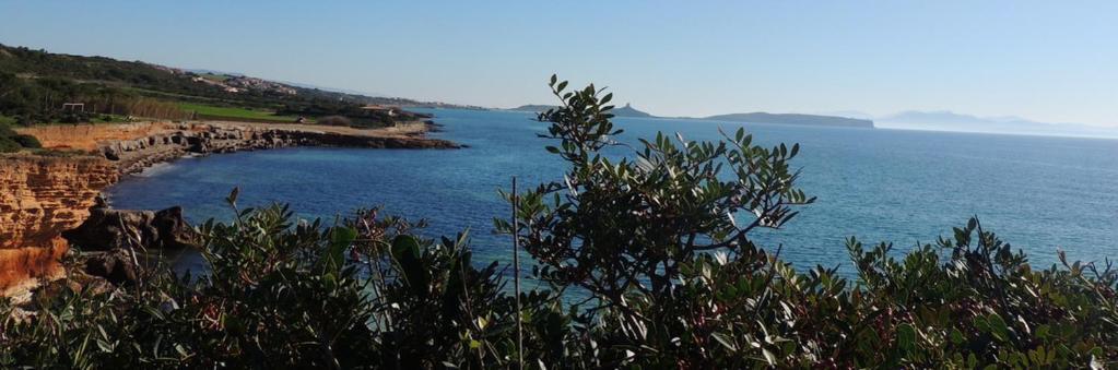 Arangioa - Senafer - Villa Funtana Meiga Kültér fotó